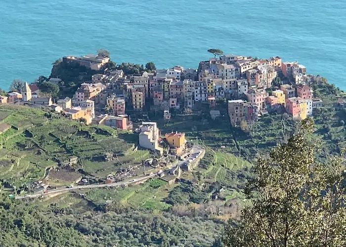 Pinuccia