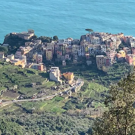 Pinuccia